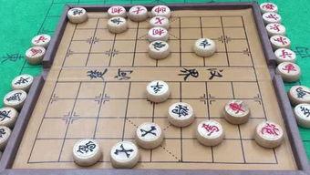仙女象棋爆料网站大全最新  第1张